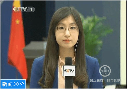 央视记者黄惠馨图片