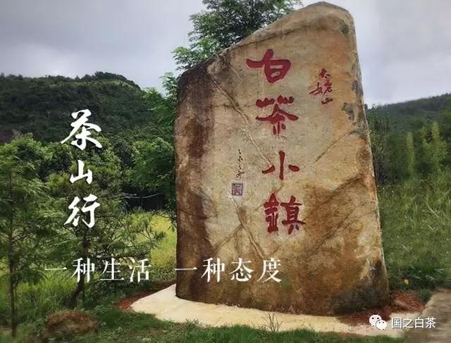 在原始宁静的大自然活动目的:真实地展现中国白茶发源地—太姥茶山的